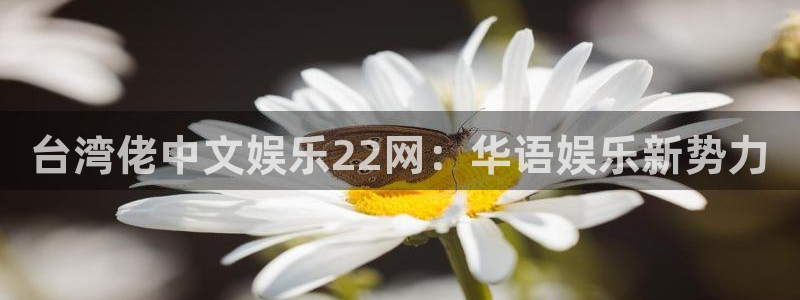 人生就是搏3登录：台湾佬中文娱乐22网：华语娱乐新势力