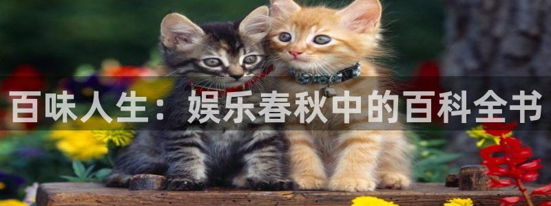人生就是搏主管