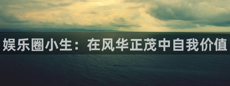 人生就是搏零能源集团