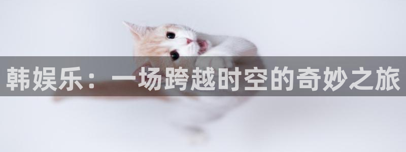 人生就是搏k：韩娱乐：一场跨越时空的奇妙之旅