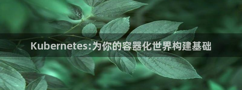 人生就是搏招商：Kubernetes:为你的容器化世界构建基础