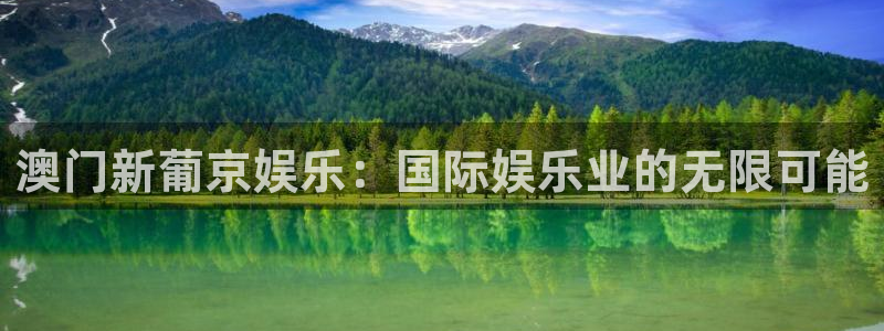 人生就是搏平台总代理：澳门新葡京娱乐：国际娱乐业的无限可能