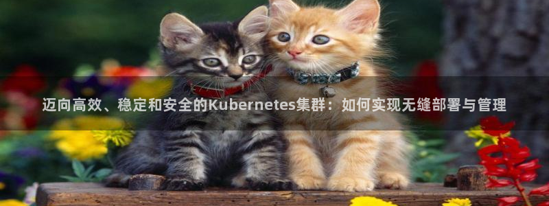 人生就是搏平台开户：迈向高效、稳定和安全的Kubernetes集群：如何实现无缝