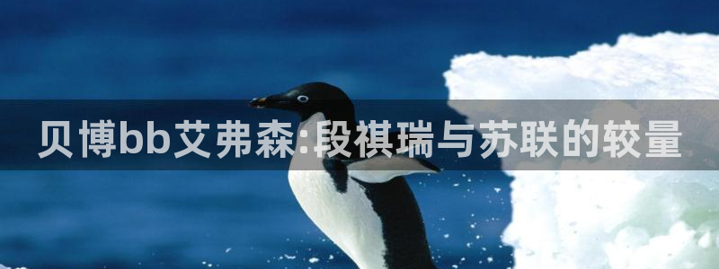 人生就是搏2官网：贝博bb艾弗森:段祺瑞与苏联的较量
