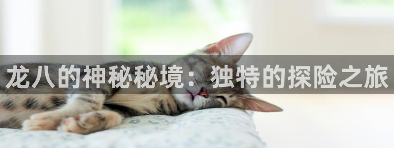人生就是搏股份：龙八的神秘秘境：独特的探险之旅