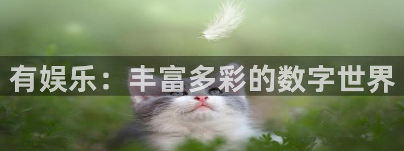 人生就是搏2体育：有娱乐：丰富多彩的数字世界