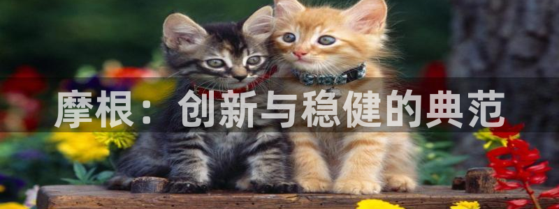 人生就是搏官网注册：摩根：创新与稳健的典范