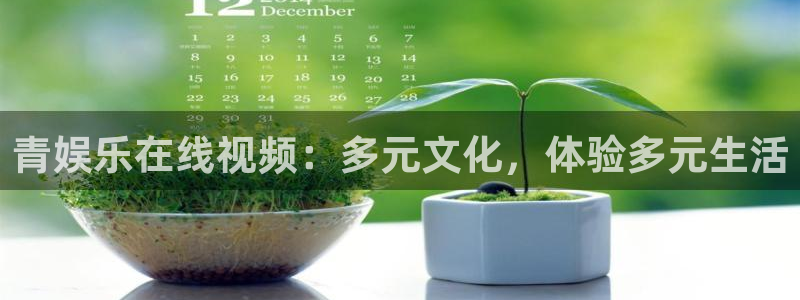 人生就是搏体育代理：青娱乐在线视频：多元文化，体验多元生活