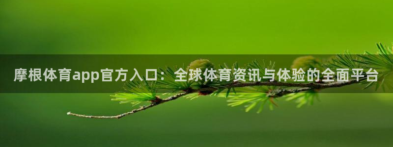 人生就是搏代理：摩根体育app官方入口：全球体育资讯与体验的全面平台