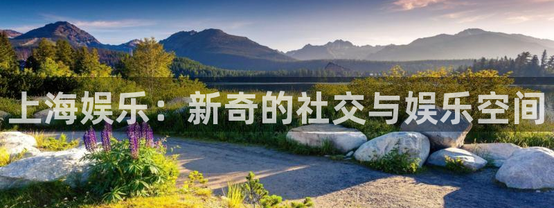 人生就是搏体育2官网入口：上海娱乐：新奇的社交与娱乐空间