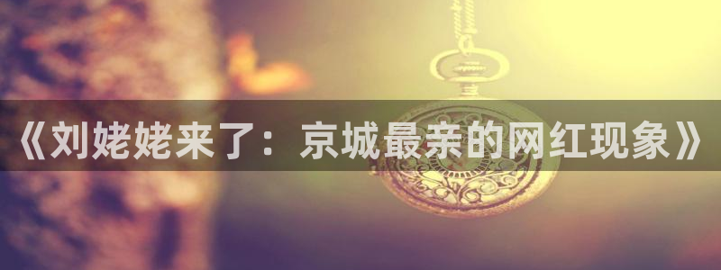 人生就是搏4平台：《刘姥姥来了：京城最亲的网红现象》