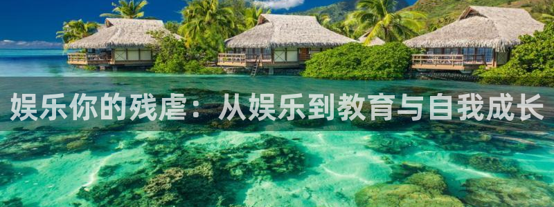上海人生就是搏汽车电子有限公司：娱乐你的残虐：从娱乐到教育与自我成长