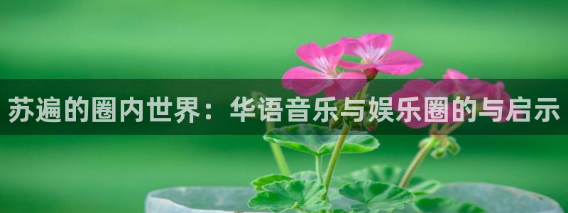 人生就是搏体育热门赛事有哪些：苏遍的圈内世界：华语音乐与娱乐圈的与启示