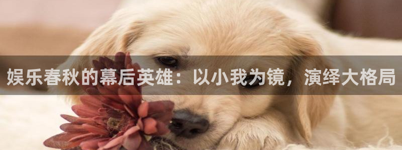 人生就是搏平台：娱乐春秋的幕后英雄：以小我为镜，演绎大格局