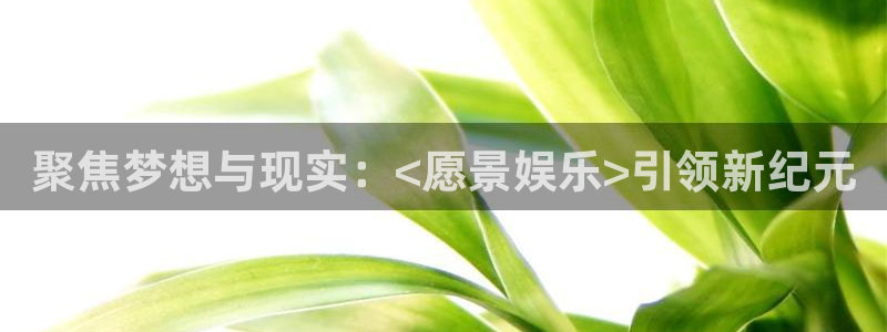 人生就是搏体育注册：聚焦梦想与现实：<愿景娱乐>引领新纪元