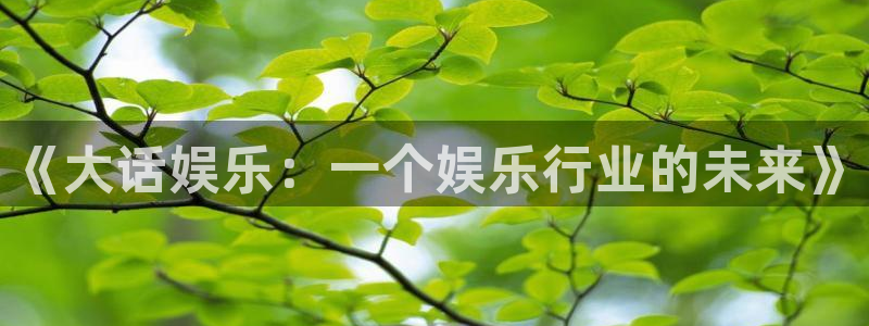 东莞市人生就是搏电子科技有限公司：《大话娱乐：一个娱乐行业的未来》