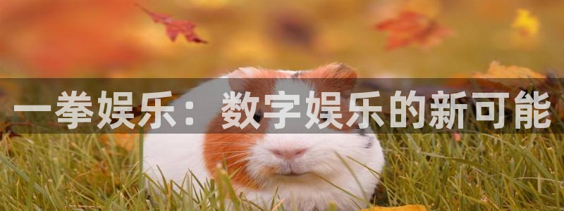 人生就是搏：一拳娱乐：数字娱乐的新可能