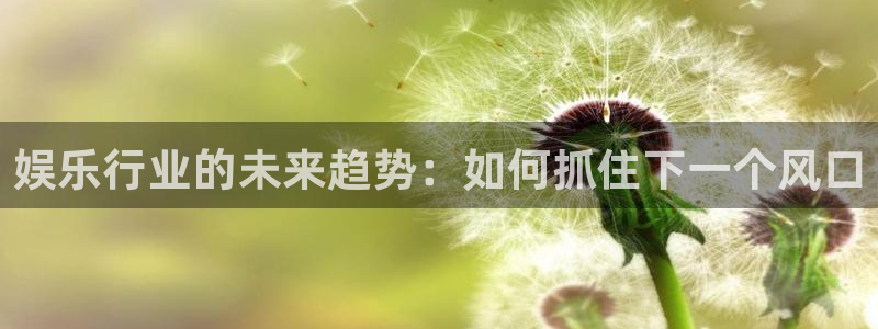 人生就是搏2代理注册：娱乐行业的未来趋势：如何抓住下一个风口