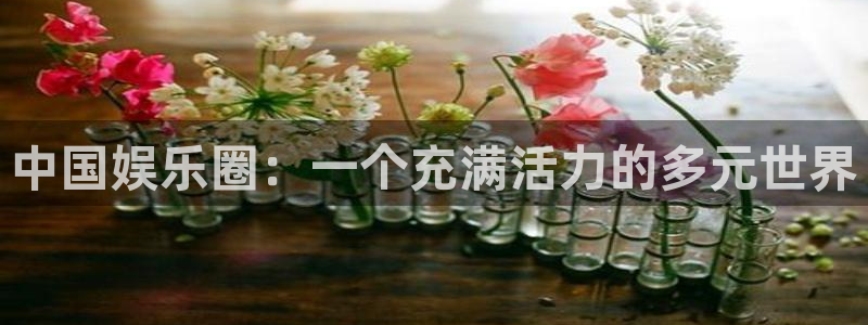 人生就是搏体育app下载：中国娱乐圈：一个充满活力的多元世界