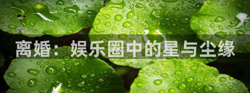 德国人生就是搏集团：离婚：娱乐圈中的星与尘缘
