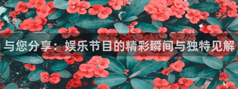 人生就是搏游戏有哪些好玩的：与您分享：娱乐节目的精彩瞬间与独特见解