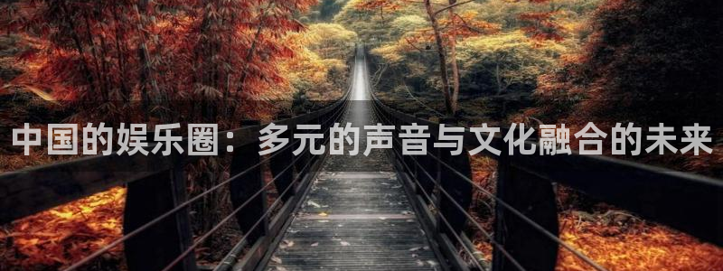 人生就是搏体育凯捷平台注册：中国的娱乐圈：多元的声音与文化融合的未来