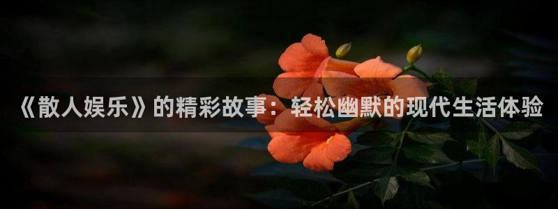 人生就是搏股份：《散人娱乐》的精彩故事：轻松幽默的现代生活体验