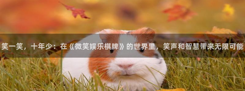 人生就是搏体育注册：笑一笑，十年少：在《微笑娱乐棋牌》的世界里，笑声和智慧带来无