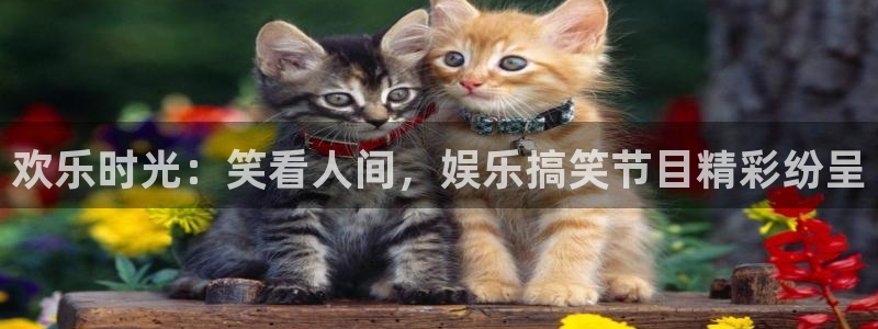 人生就是搏体育：欢乐时光：笑看人间，娱乐搞笑节目精彩纷呈