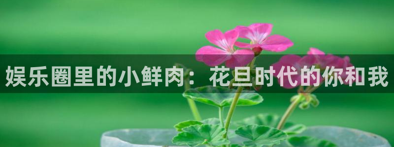 人生就是搏体育eon：娱乐圈里的小鲜肉：花旦时代的你和我