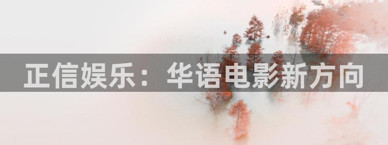 人生就是搏电子有限公司：正信娱乐：华语电影新方向