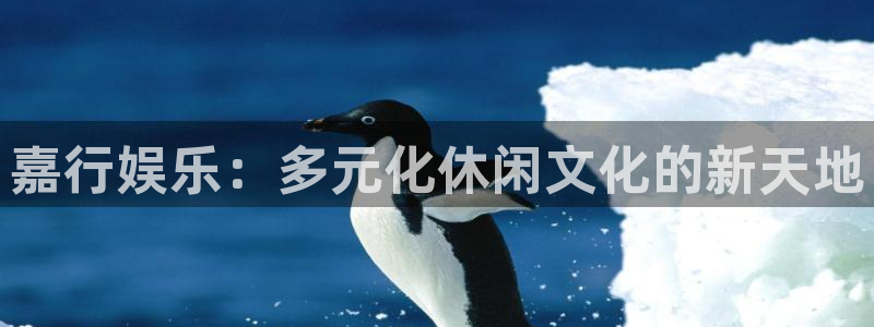 人生就是搏平台在线开户：嘉行娱乐：多元化休闲文化的新天地
