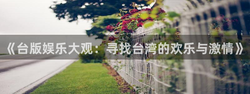 人生就是搏官网注册：《台版娱乐大观：寻找台湾的欢乐与激情》