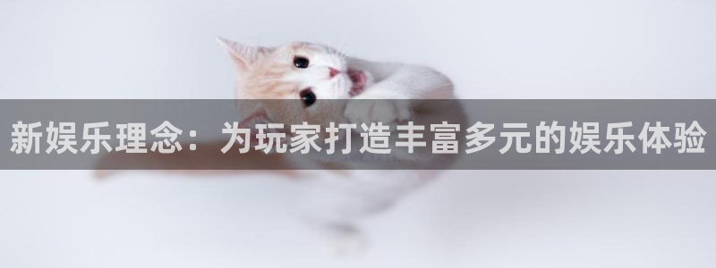 人生就是搏4：新娱乐理念：为玩家打造丰富多元的娱乐体验