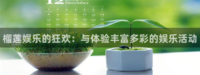 人生就是搏4登录：榴莲娱乐的狂欢：与体验丰富多彩的娱乐活动