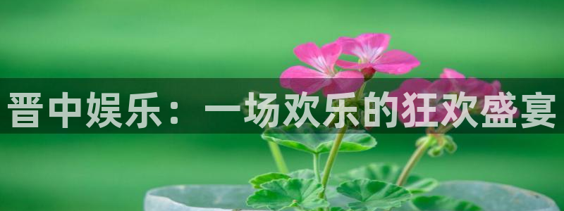 德国人生就是搏集团：晋中娱乐：一场欢乐的狂欢盛宴